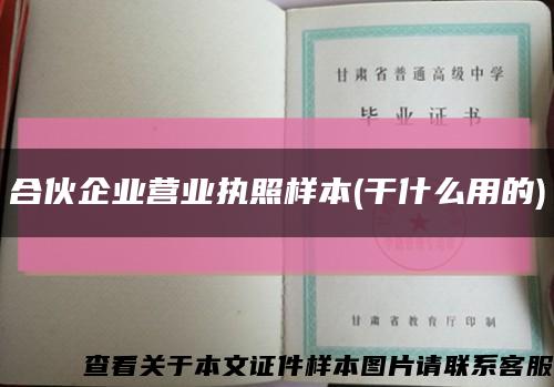 合伙企業營業執照樣本(干什么用的)縮略圖