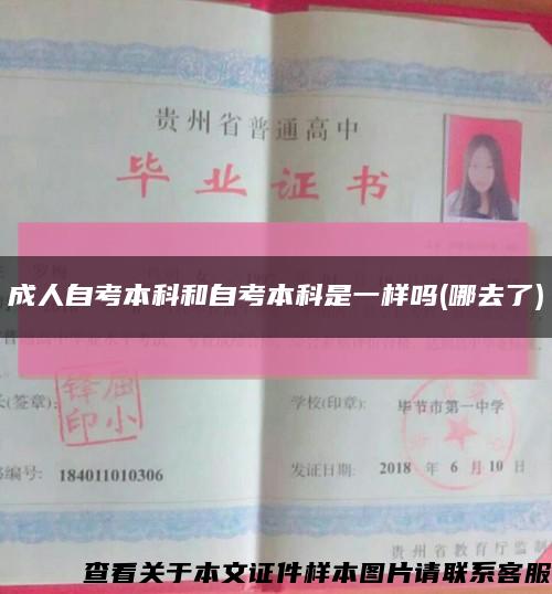 成人自考本科和自考本科是一樣嗎(哪去了)縮略圖