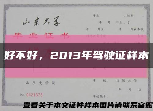 好不好，2013年駕駛證樣本縮略圖