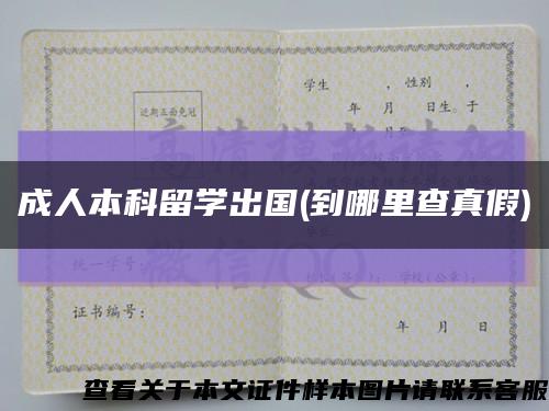 成人本科留學出國(到哪里查真假)縮略圖