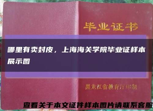 哪里有賣封皮，上海海關學院畢業證樣本展示圖縮略圖