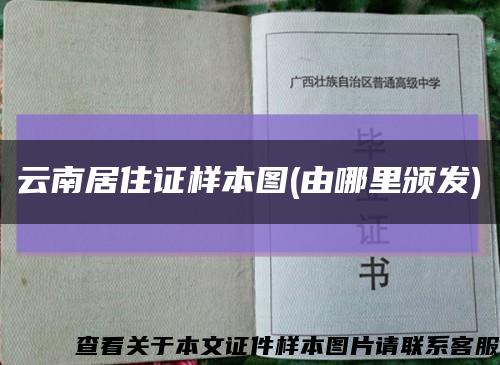 云南居住證樣本圖(由哪里頒發)縮略圖