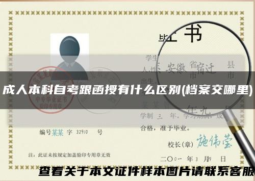 成人本科自考跟函授有什么區別(檔案交哪里)縮略圖