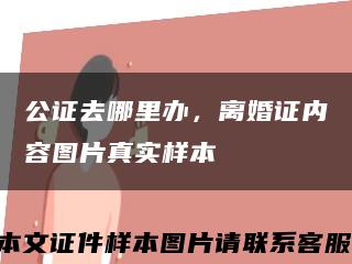 公證去哪里辦，離婚證內容圖片真實樣本縮略圖