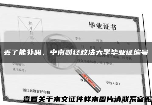 丟了能補嗎，中南財經政法大學畢業證編號縮略圖