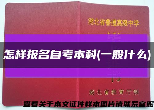 怎樣報名自考本科(一般什么)縮略圖
