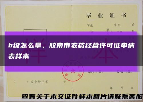 b級怎么拿，膠南市農藥經營許可證申請表樣本縮略圖
