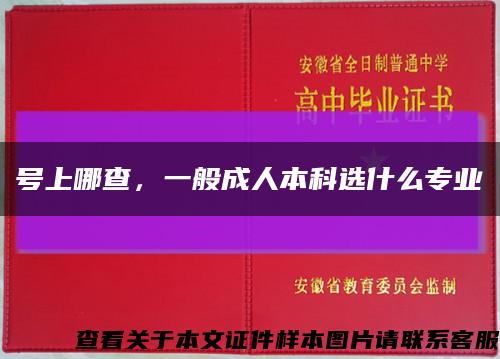 號上哪查，一般成人本科選什么專業縮略圖
