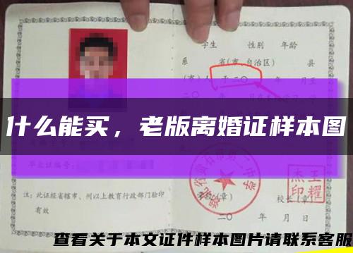 什么能買，老版離婚證樣本圖縮略圖