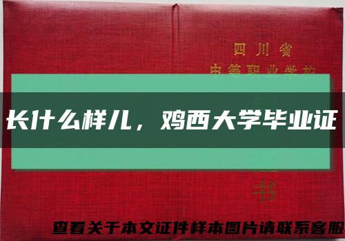 長什么樣兒，雞西大學畢業證縮略圖