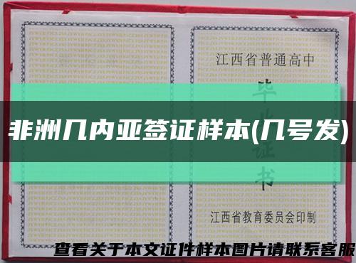 非洲幾內亞簽證樣本(幾號發)縮略圖