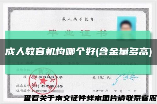 成人教育機構哪個好(含金量多高)縮略圖