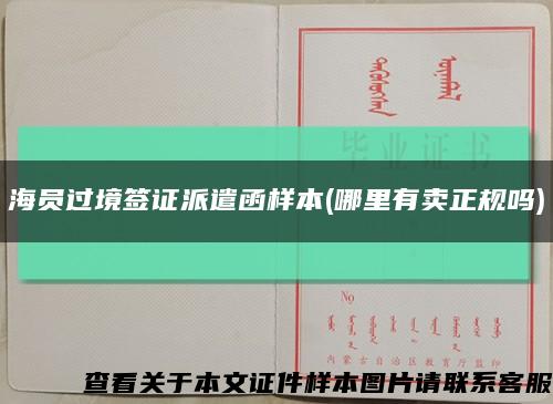 海員過境簽證派遣函樣本(哪里有賣正規嗎)縮略圖