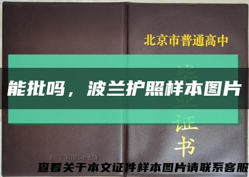 能批嗎，波蘭護照樣本圖片縮略圖