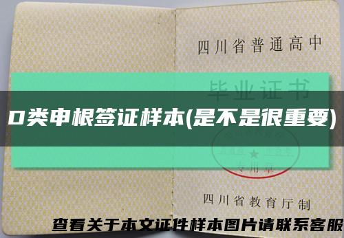 D類申根簽證樣本(是不是很重要)縮略圖