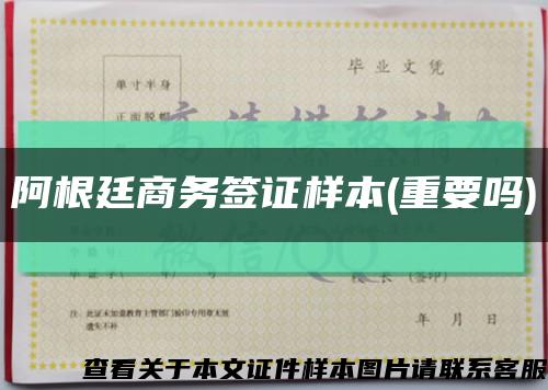 阿根廷商務簽證樣本(重要嗎)縮略圖