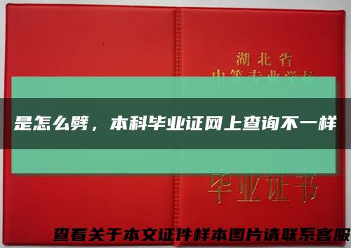 是怎么劈，本科畢業證網上查詢不一樣縮略圖