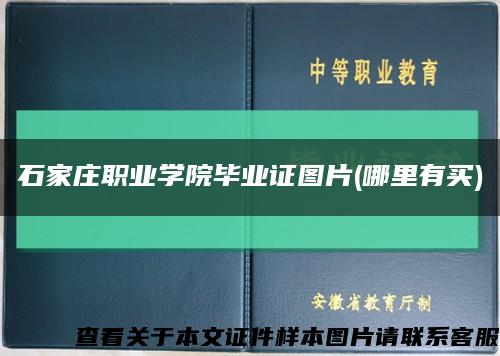 石家莊職業學院畢業證圖片(哪里有買)縮略圖