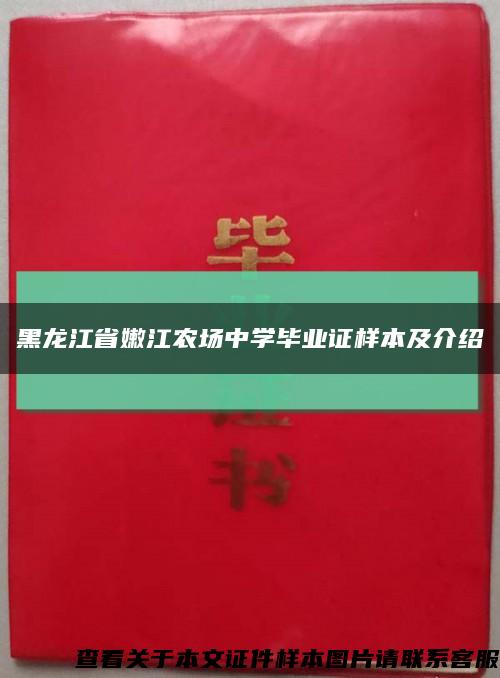 黑龍江省嫩江農場中學畢業證樣本及介紹縮略圖