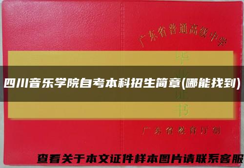四川音樂學院自考本科招生簡章(哪能找到)縮略圖