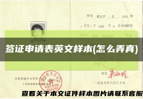 簽證申請表英文樣本(怎么弄真)縮略圖
