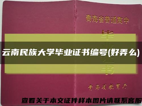 云南民族大學畢業證書編號(好弄么)縮略圖