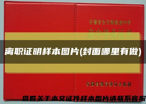 離職證明樣本圖片(封面哪里有做)縮略圖