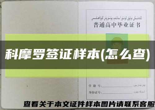 科摩羅簽證樣本(怎么查)縮略圖