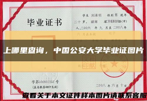 上哪里查詢，中國公安大學畢業證圖片縮略圖