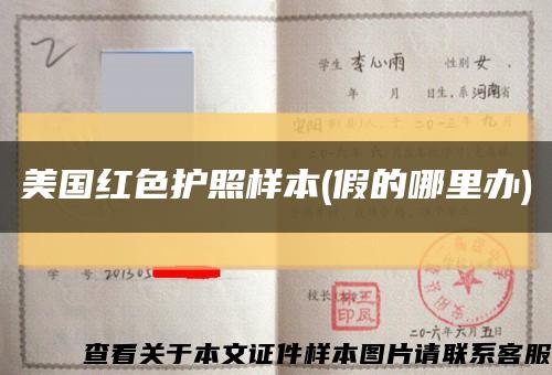 美國紅色護照樣本(假的哪里辦)縮略圖