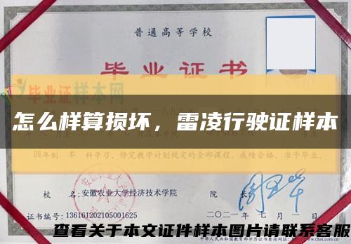 怎么樣算損壞，雷凌行駛證樣本縮略圖