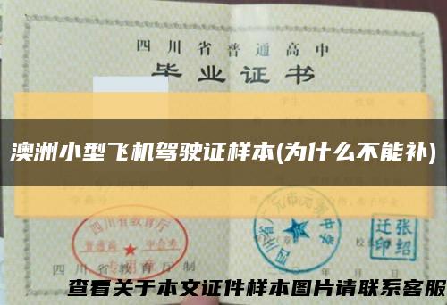 澳洲小型飛機駕駛證樣本(為什么不能補)縮略圖