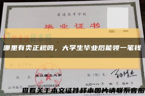 哪里有賣正規嗎，大學生畢業后能領一筆錢縮略圖