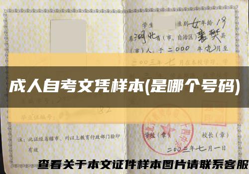 成人自考文憑樣本(是哪個號碼)縮略圖