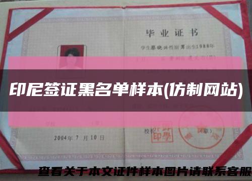 印尼簽證黑名單樣本(仿制網站)縮略圖
