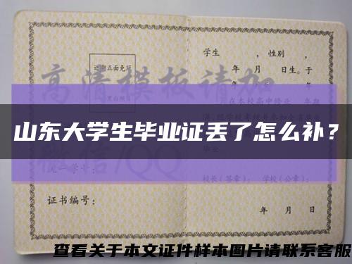 山東大學生畢業證丟了怎么補？縮略圖