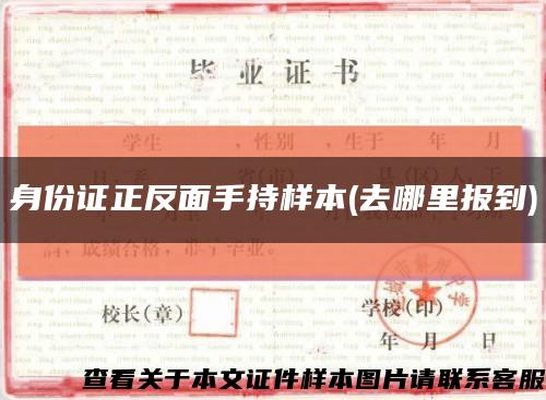 身份證正反面手持樣本(去哪里報到)縮略圖