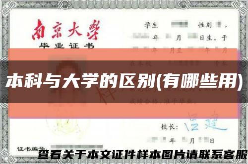 本科與大學的區別(有哪些用)縮略圖