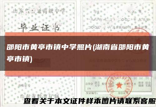 邵陽市黃亭市鎮中學照片(湖南省邵陽市黃亭市鎮)縮略圖