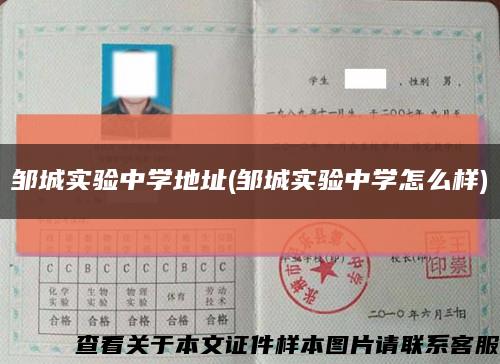 鄒城實驗中學地址(鄒城實驗中學怎么樣)縮略圖