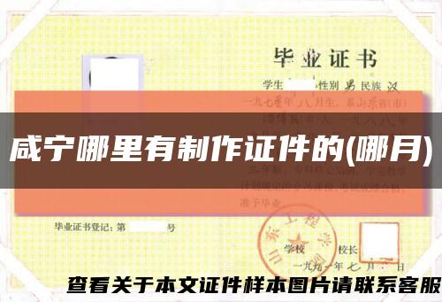 咸寧哪里有制作證件的(哪月)縮略圖