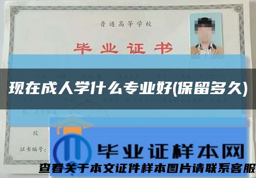 現在成人學什么專業好(保留多久)縮略圖