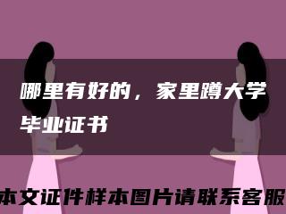 哪里有好的，家里蹲大學畢業證書縮略圖
