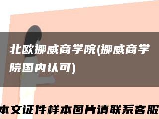 北歐挪威商學院(挪威商學院國內認可)縮略圖