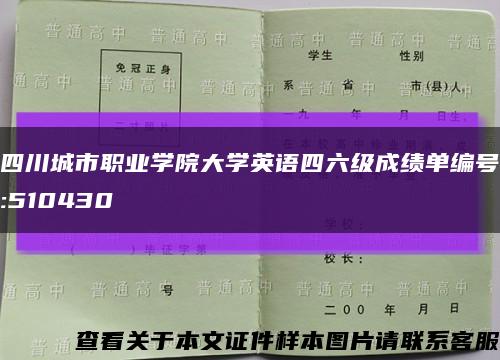 四川城市職業學院大學英語四六級成績單編號:510430縮略圖
