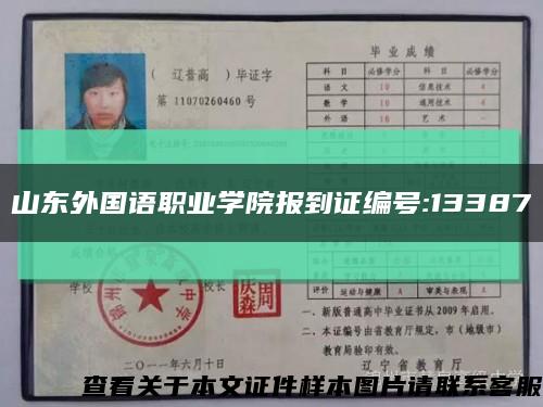 山東外國語職業學院報到證編號:13387縮略圖
