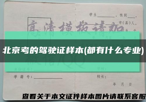 北京考的駕駛證樣本(都有什么專業)縮略圖