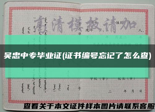 吳忠中專畢業證(證書編號忘記了怎么查)縮略圖