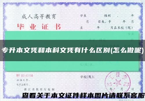 專升本文憑和本科文憑有什么區別(怎么做呢)縮略圖