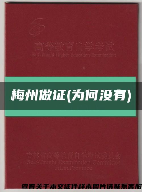 梅州做證(為何沒有)縮略圖